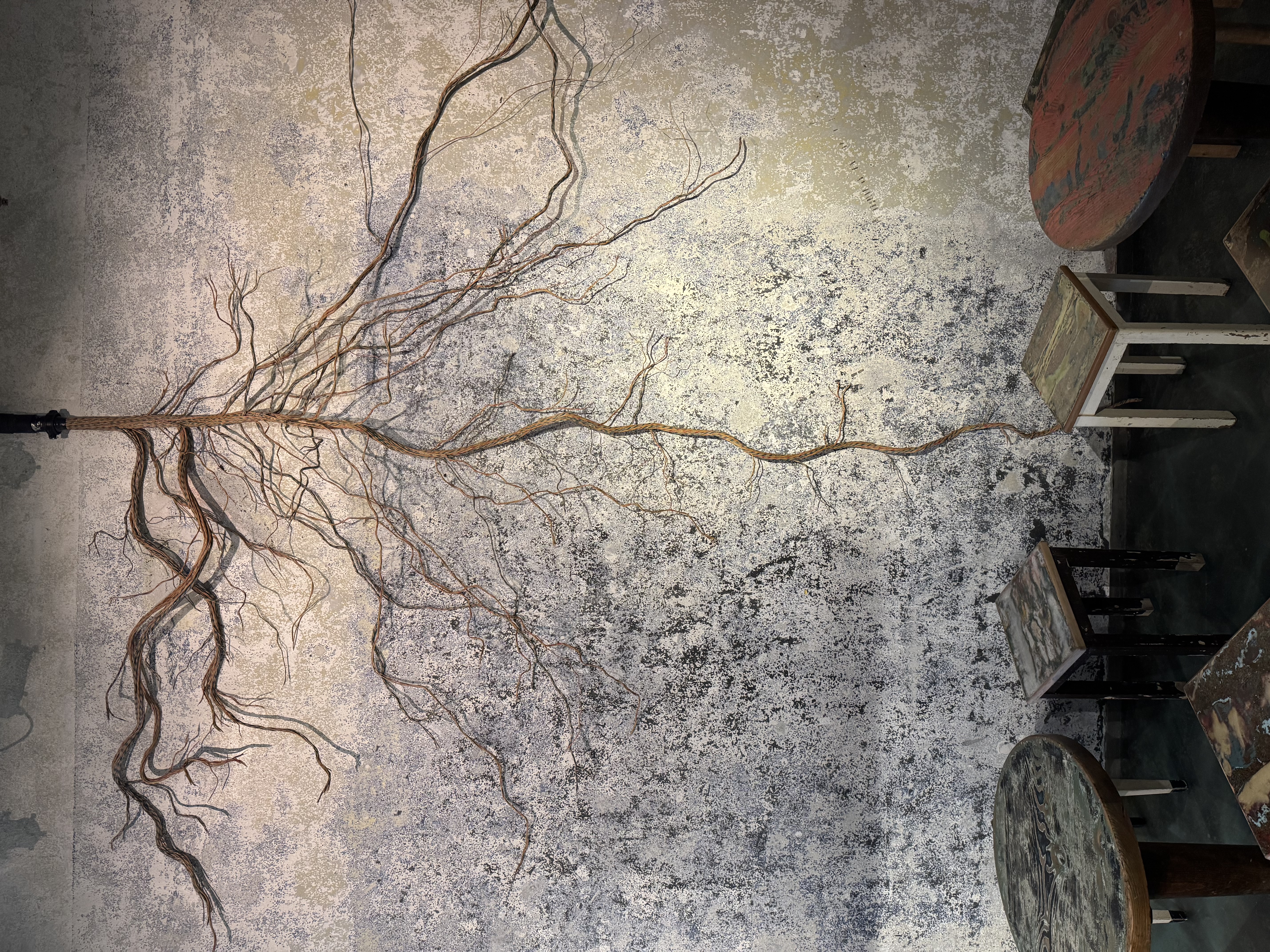 /dms5712  /cargobar-event-pictures/2025/Ausstellungen/Regionale/IMG_3293.jpeg