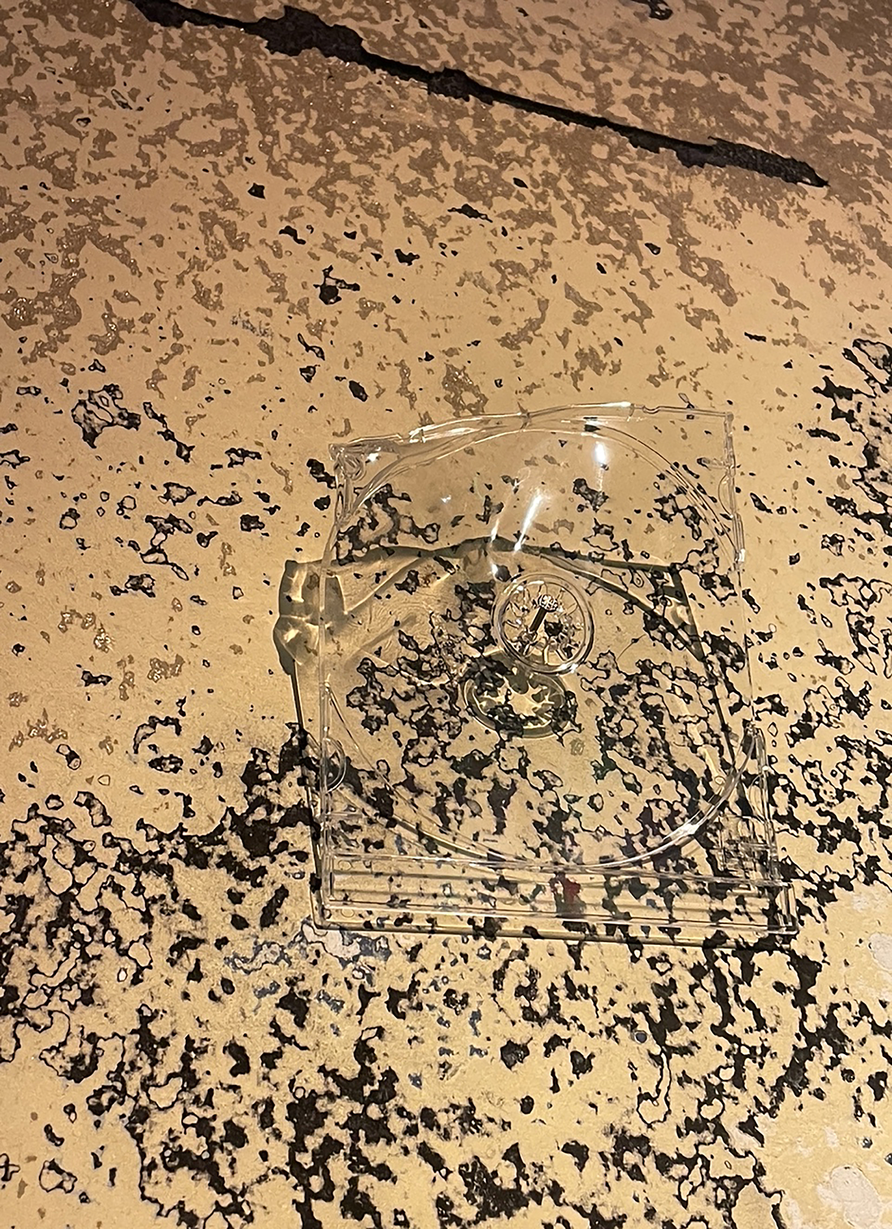 /dms3035 /cargobar-event-pictures/2026/Ausstellungen/Alexandra-vom-Endt/IMG_9556_sanja/Alexandravomendt.jpg