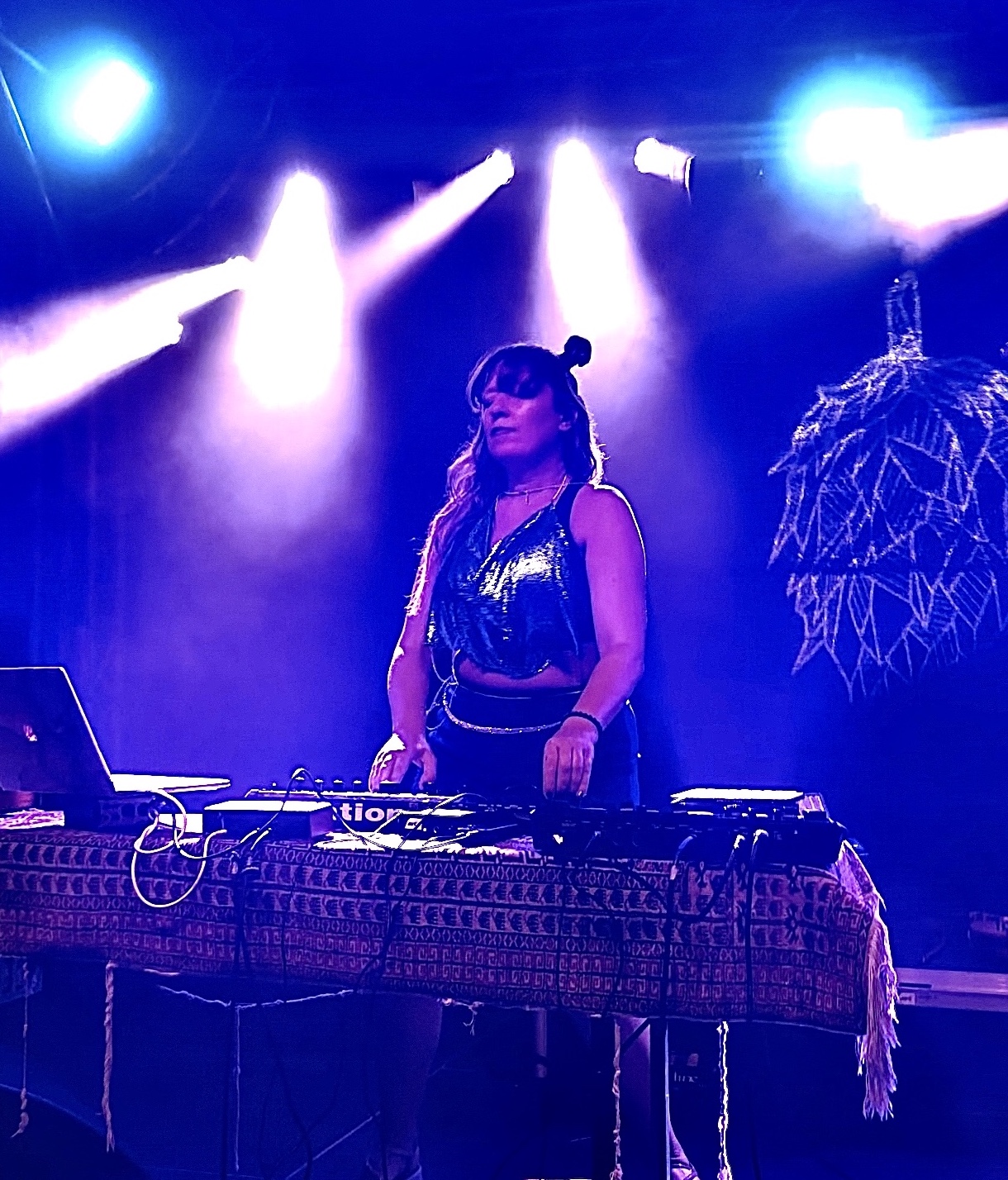 /dms1220  /cargobar-event-pictures/2026/Konzerte/gaia-mobilij/IMG_1851.jpg